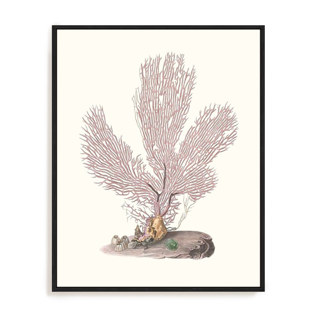 Terra Cotta Coral IV Wall Art