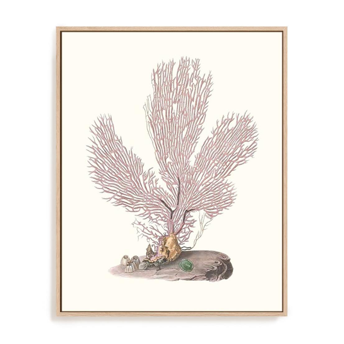 Terra Cotta Coral IV Wall Art