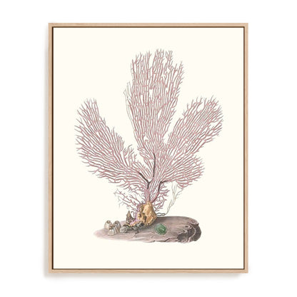 Terra Cotta Coral IV Wall Art