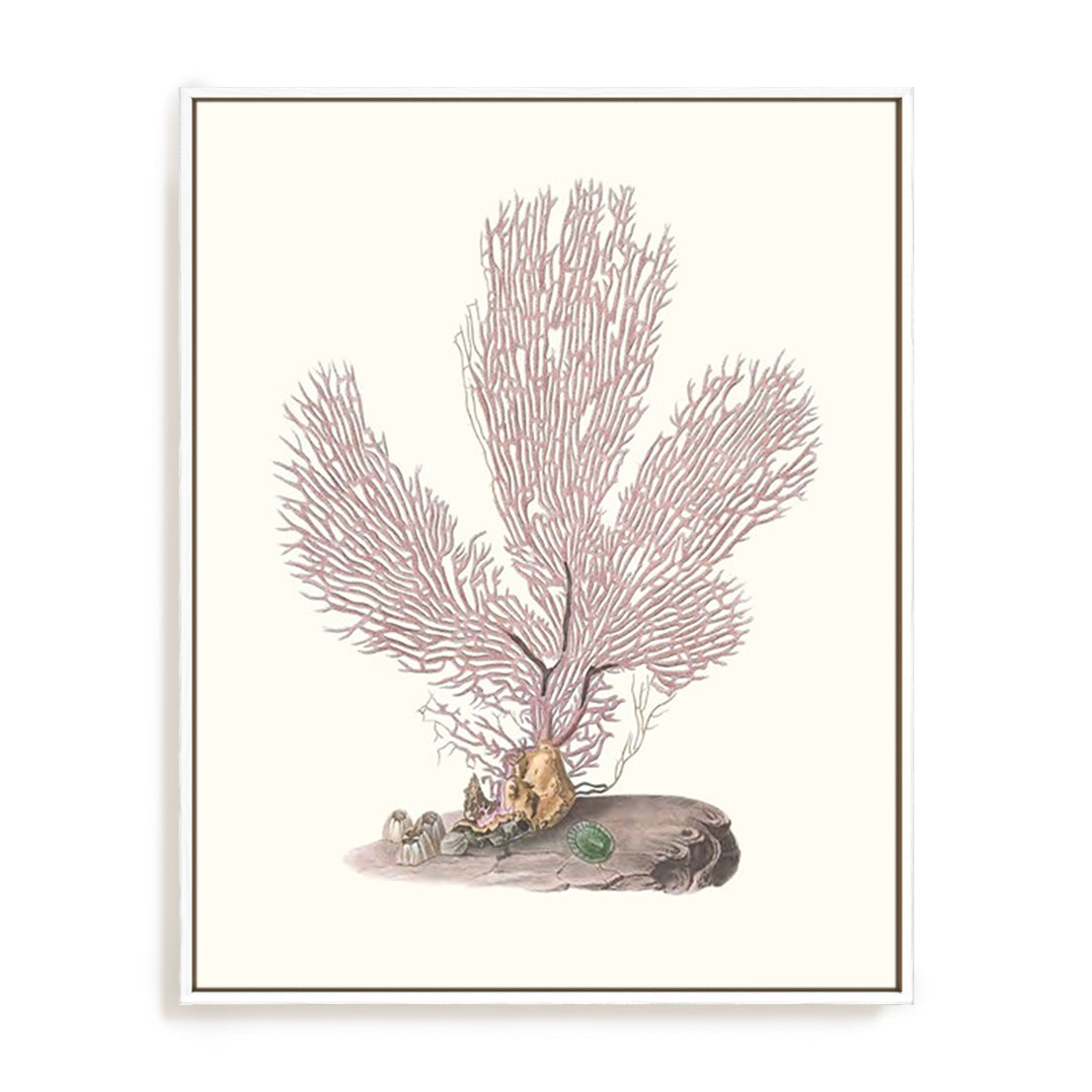 Terra Cotta Coral IV Wall Art