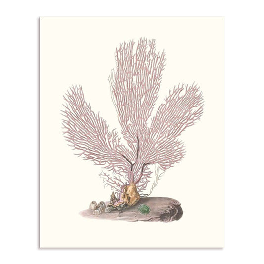 Terra Cotta Coral IV Wall Art