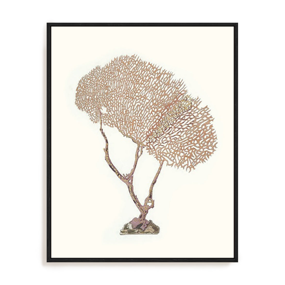 Terra Cotta Coral V Wall Art