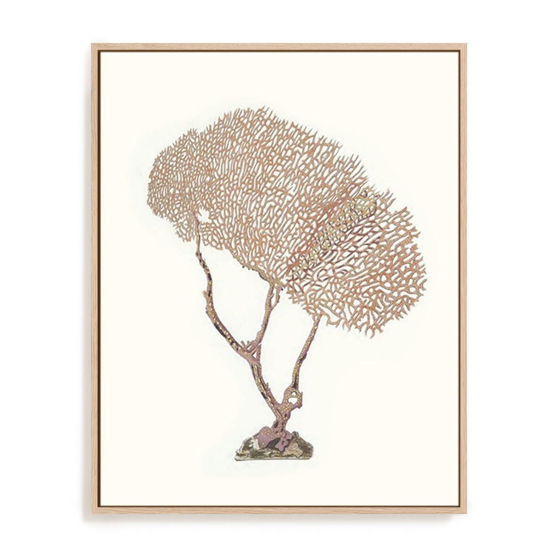 Terra Cotta Coral V Wall Art