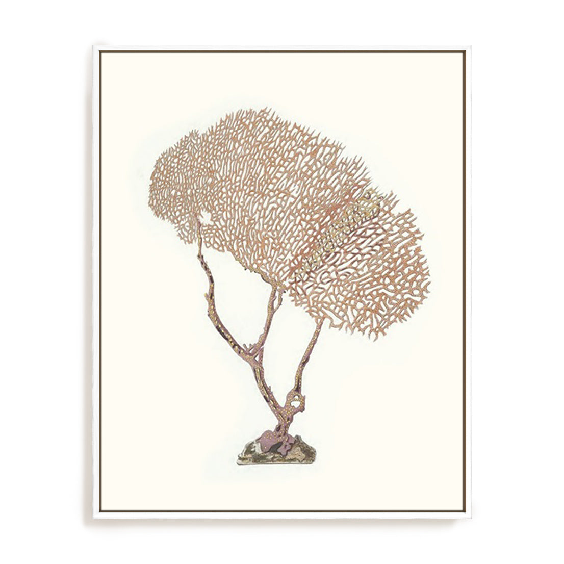 Terra Cotta Coral V Wall Art