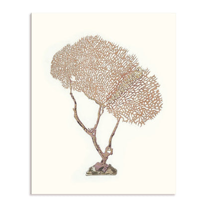 Terra Cotta Coral V Wall Art