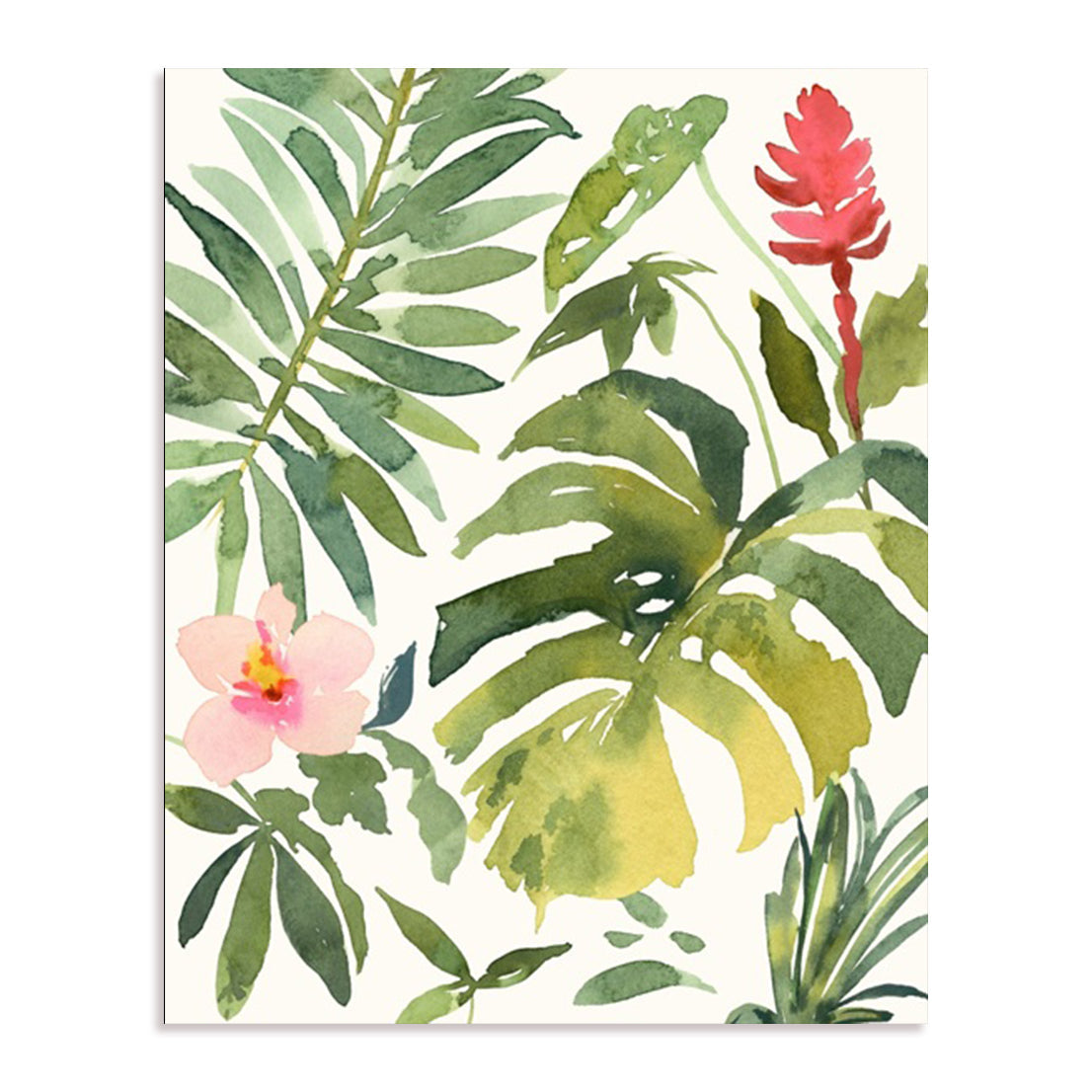 Tropical Farrago II Wall Art