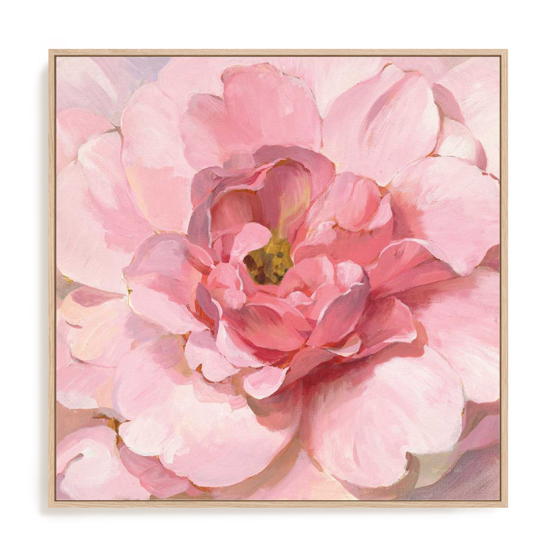 Blushing Peony Wall Art