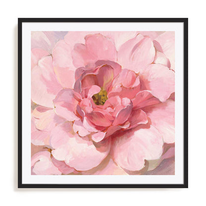 Blushing Peony Wall Art