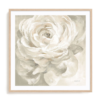 White Rose Gray Wall Art