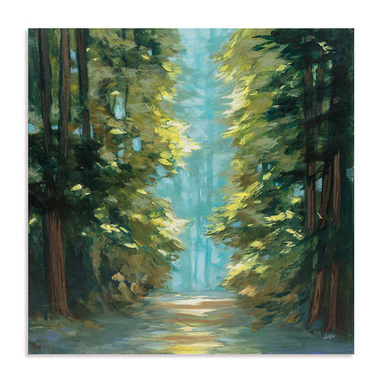 Sunlit Forest Art in Stretched Canvas, Framed Print Under Glass, and Gallery Wrapped Shadow Box Canvas