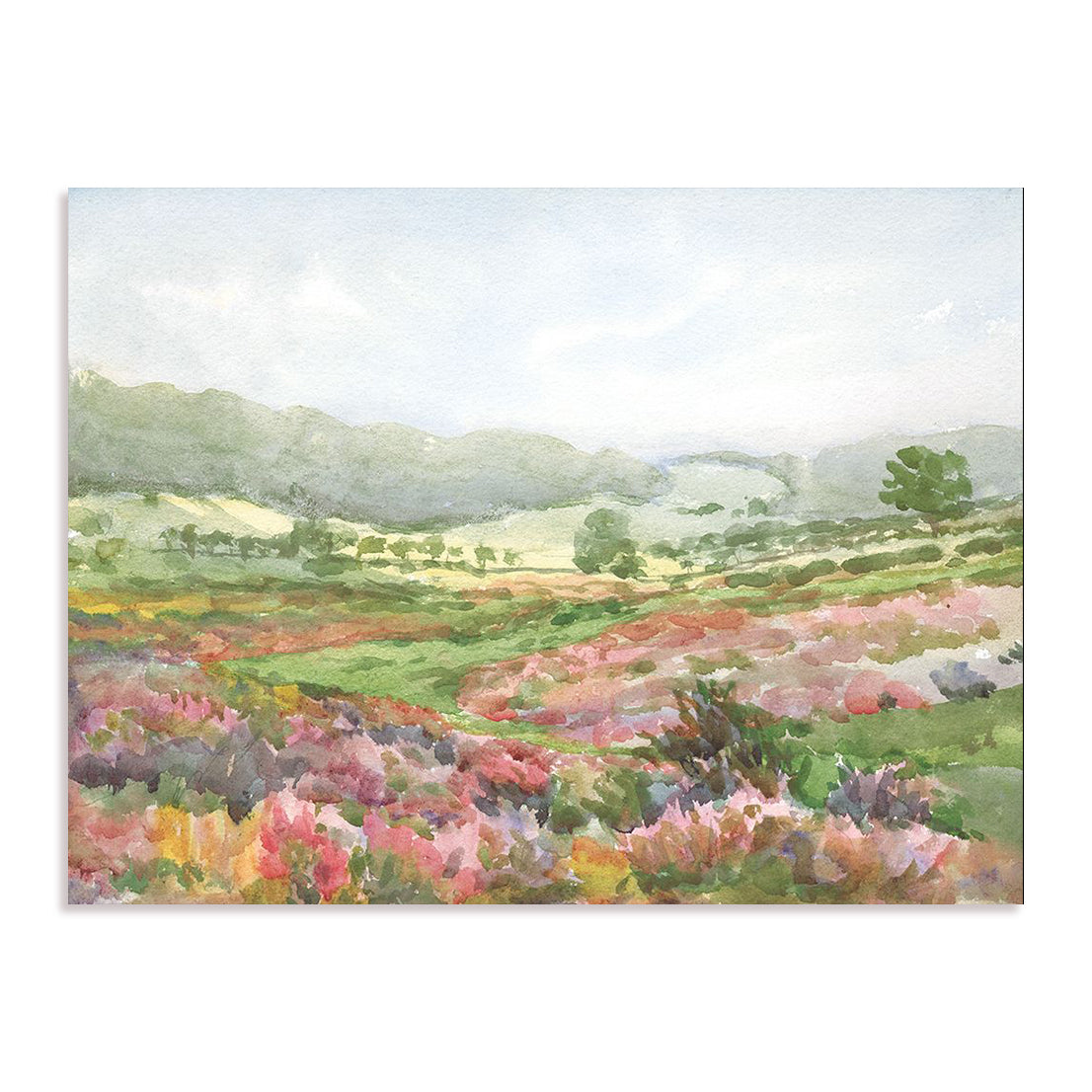 Field of Flowers Wall Art