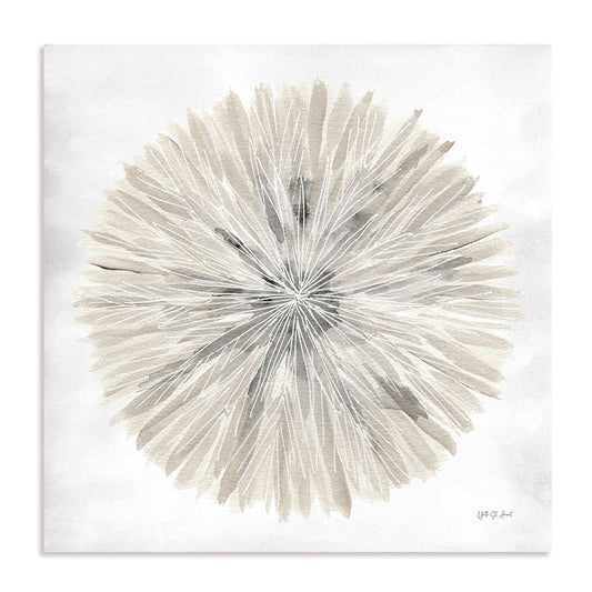 Natures Pinwheel I Framed Wall Art for Living Room, Bedroom, Hallways and Kitchen Spaces